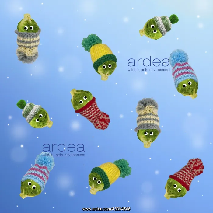  : Brussel Sprouts, with woolly hats and googly
