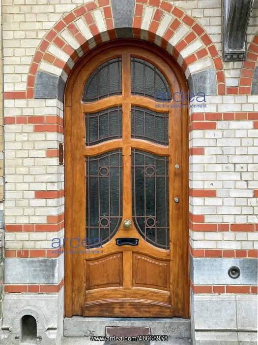 : Brussels, Belgium. Art Nouveau architecture that graces the : Brussels, Belgium. Art Nouveau architecture that graces the