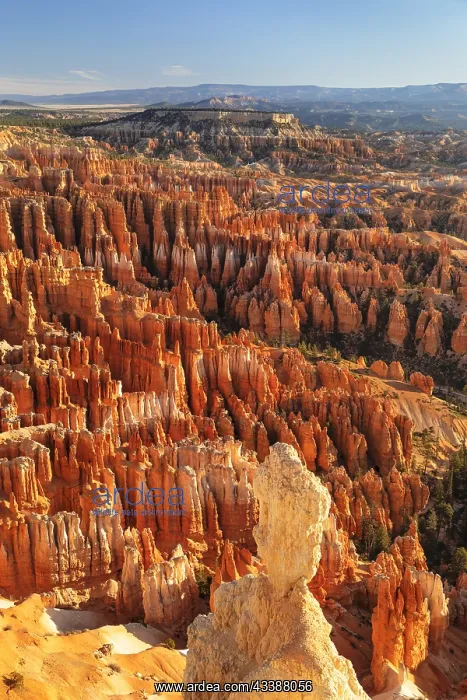: Bryce Amphitheatre at sunset, Bryce Canyon National : Bryce Amphitheatre at sunset, Bryce Canyon National