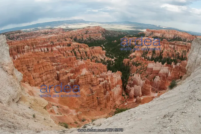 : Bryce Canyon : Bryce Canyon