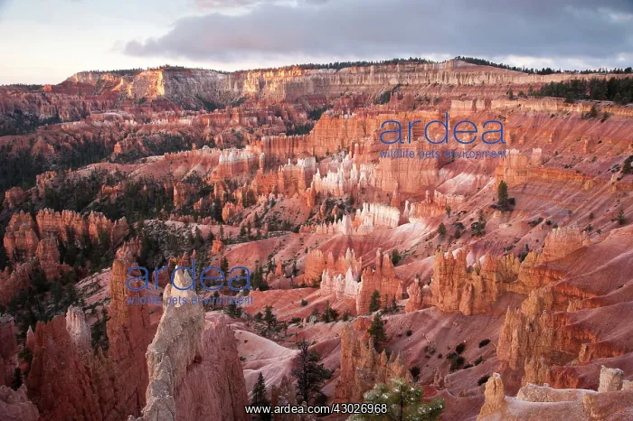 : Bryce Canyon : Bryce Canyon