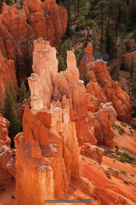 : Bryce Canyon : Bryce Canyon