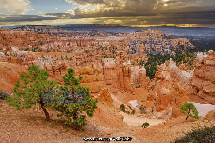 : Bryce Canyon, Bryce Canyon National Park, Utah : Bryce Canyon, Bryce Canyon National Park, Utah