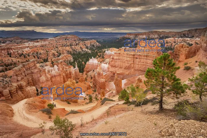 : Bryce Canyon, Bryce Canyon National Park, Utah : Bryce Canyon, Bryce Canyon National Park, Utah