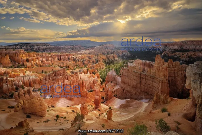 : Bryce Canyon, Bryce Canyon National Park, Utah : Bryce Canyon, Bryce Canyon National Park, Utah