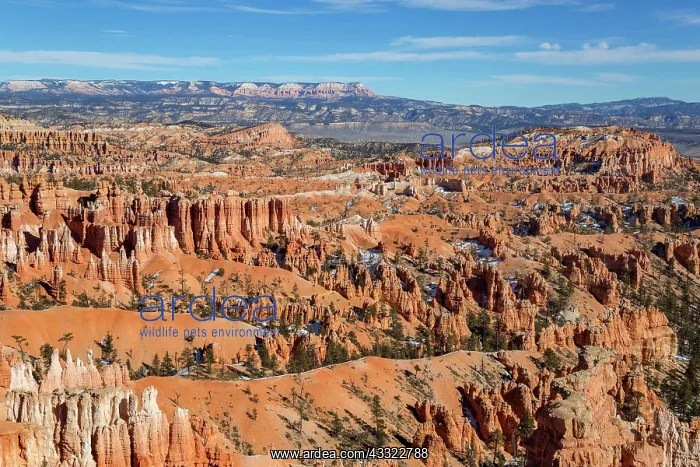 : Bryce Canyon lookout in Utah, USA, North America : Bryce Canyon lookout in Utah, USA, North America