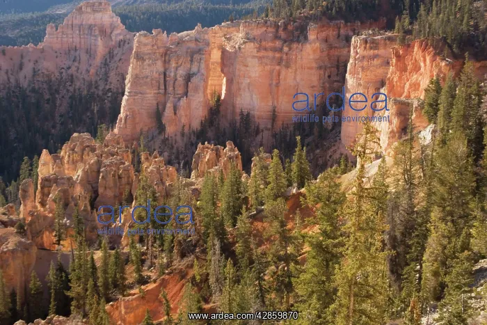  : Bryce Canyon National Park