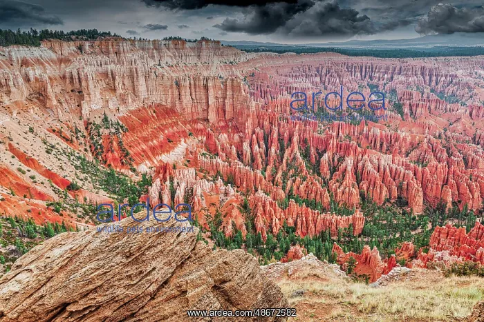  : Bryce Canyon National Park