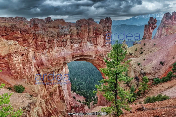 : Bryce Canyon National Park : Bryce Canyon National Park