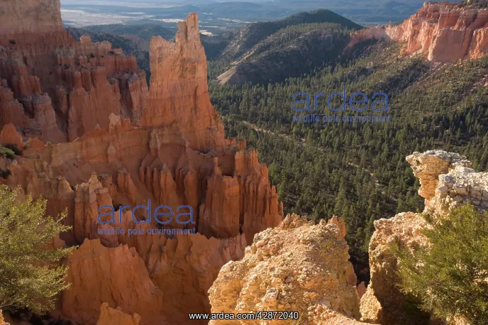  : Bryce Canyon, National Park, Fairview, Utah, USA