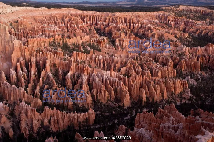 : Bryce Canyon National Park, general view from Bryce : Bryce Canyon National Park, general view from Bryce
