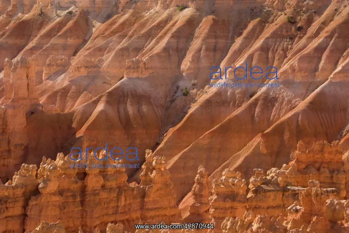 : Bryce Canyon National Park - Hoodoos and cliffs : Bryce Canyon National Park - Hoodoos and cliffs