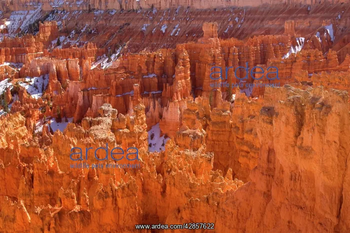 : Bryce Canyon - sandstone formations & hoodoos and : Bryce Canyon - sandstone formations & hoodoos and