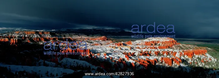 : Bryce Canyon in Snowstorm panoramic : Bryce Canyon in Snowstorm panoramic