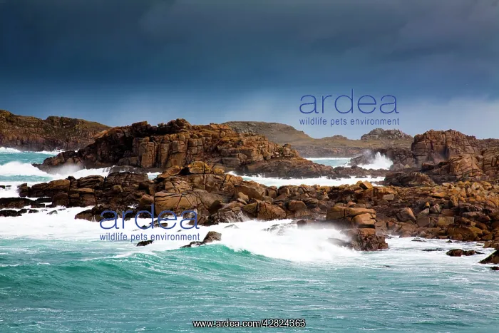 : Bryher - Coast in a Storm : Bryher - Coast in a Storm