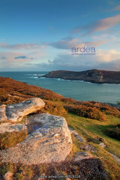 : Bryher - looking towards Tresco : Bryher - looking towards Tresco