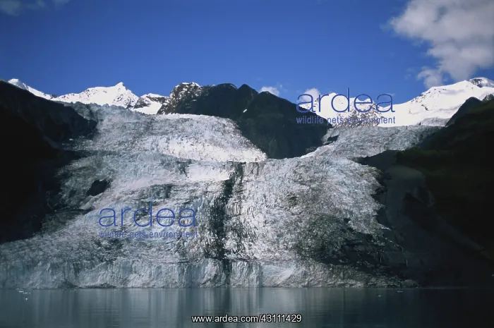 : Bryn Mawr Glacier : Bryn Mawr Glacier