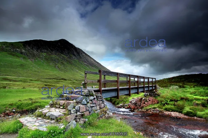 : Buachaille Etive Mor, Glen Coe valley, mountain : Buachaille Etive Mor, Glen Coe valley, mountain