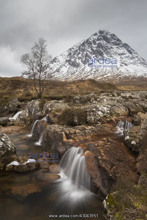 : Buachaille Etive Mor and river Caupall at Glen : Buachaille Etive Mor and river Caupall at Glen