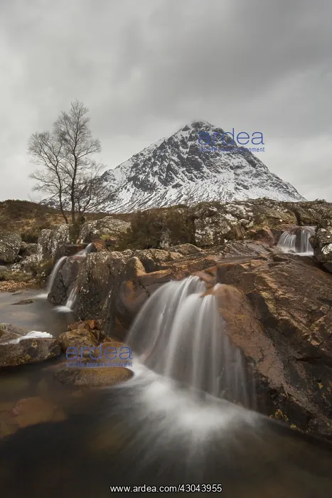 : Buachaille Etive Mor and river Caupall at Glen : Buachaille Etive Mor and river Caupall at Glen