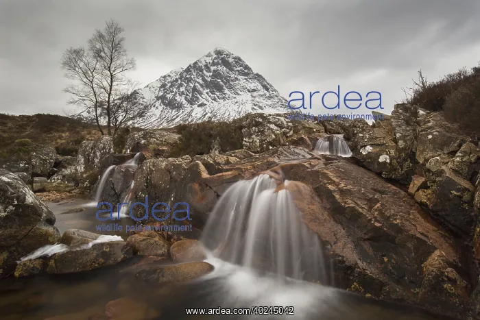 : Buachaille Etive Mor and river Caupall at Glen : Buachaille Etive Mor and river Caupall at Glen