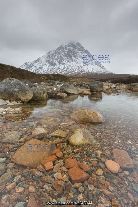 : Buachaille Etive Mor and river Caupall at Glen : Buachaille Etive Mor and river Caupall at Glen