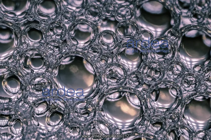  : Bubbles
