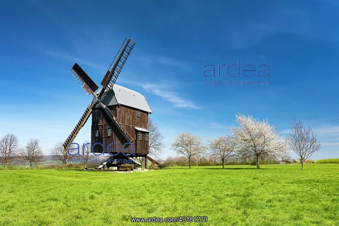 : Buck Windmill Bechstedtstrasse, Isseroda, Thuringia : Buck Windmill Bechstedtstrasse, Isseroda, Thuringia