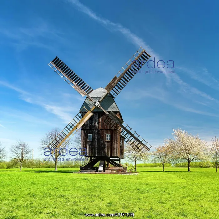 : Buck Windmill Bechstedtstrasse, Isseroda, Thuringia : Buck Windmill Bechstedtstrasse, Isseroda, Thuringia