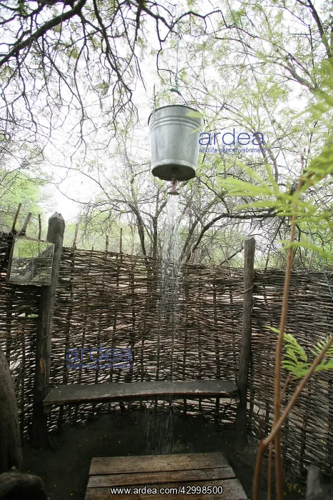 : Bucket Shower : Bucket Shower
