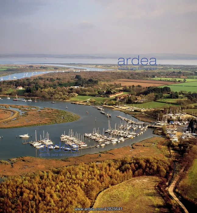 : Bucklers Hard, hamlet situated on the banks of : Bucklers Hard, hamlet situated on the banks of