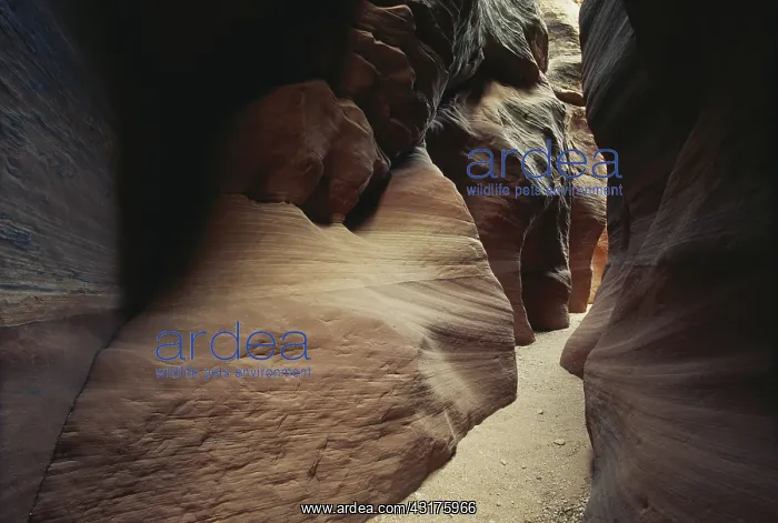 : Buckskin Gulch, Paria Canyon, Utah : Buckskin Gulch, Paria Canyon, Utah