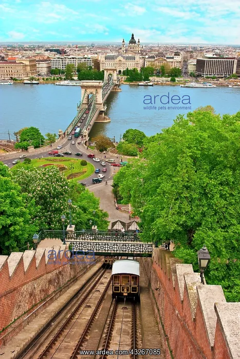 : Budapest, Hungary, The Castle Hill Funicular : Budapest, Hungary, The Castle Hill Funicular
