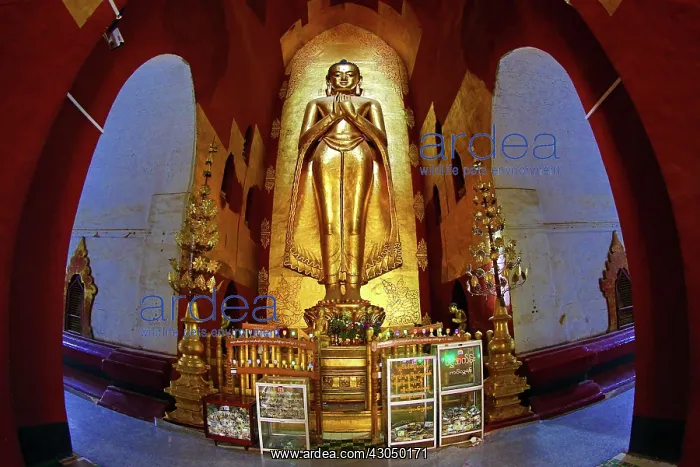 : Buddha statue in Ananda Pagoda Temple in Old Bagan, Baga : Buddha statue in Ananda Pagoda Temple in Old Bagan, Baga