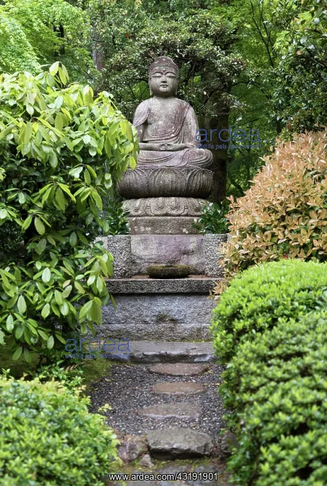 : Buddha statue in garden of Ryoanji, Ryoan-ji, Temple : Buddha statue in garden of Ryoanji, Ryoan-ji, Temple