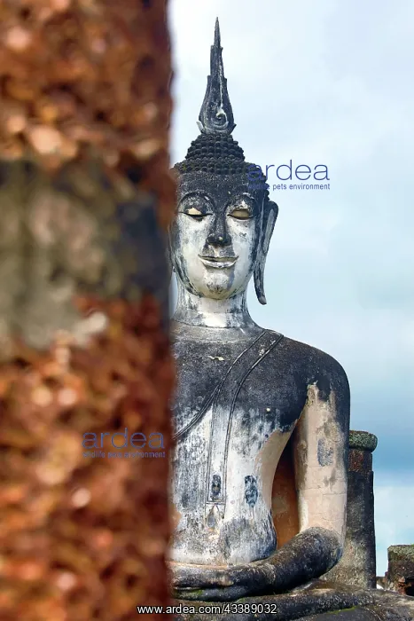 : Buddha Statue between pillars, Wat Mahathat Temple, Royal Sa : Buddha Statue between pillars, Wat Mahathat Temple, Royal Sa