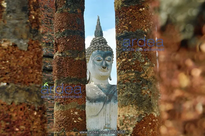 : Buddha Statue between pillars, Wat Sa Si Temple, Sukhothai : Buddha Statue between pillars, Wat Sa Si Temple, Sukhothai