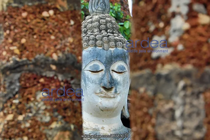 : Buddha Statue between pillars, Wat Sa Si Temple, Sukhothai : Buddha Statue between pillars, Wat Sa Si Temple, Sukhothai