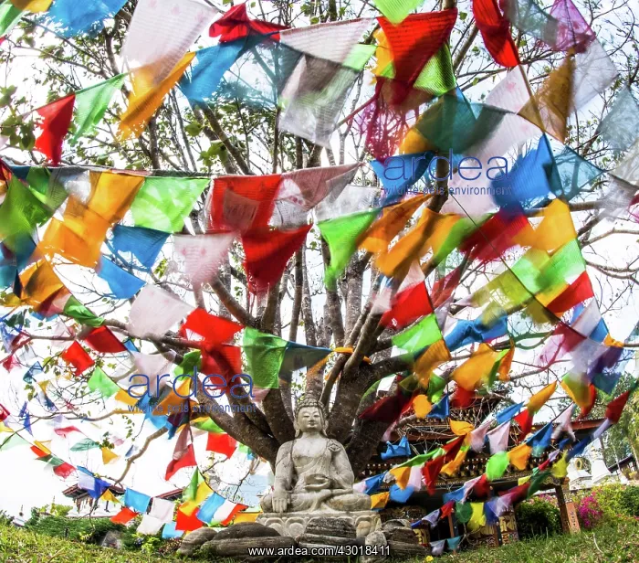 : Buddha statue under a tree and colourful prayer flags : Buddha statue under a tree and colourful prayer flags
