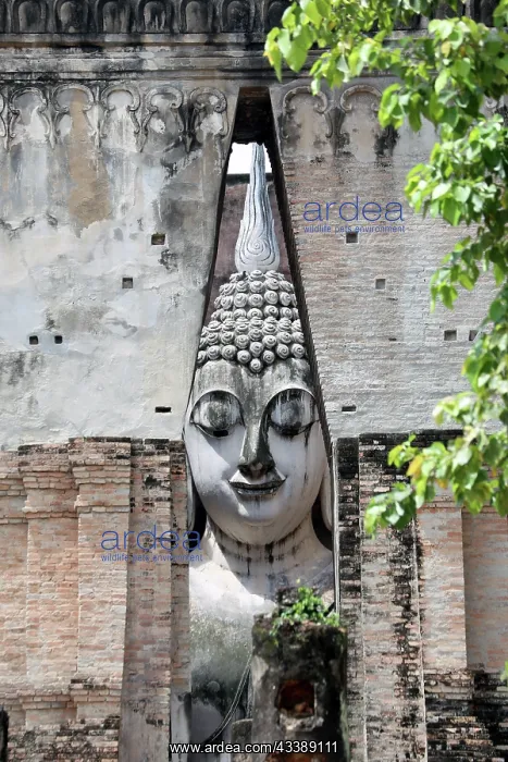  : Buddha Statue at Wat Si Chum Temple, Sukhothai, Thailand