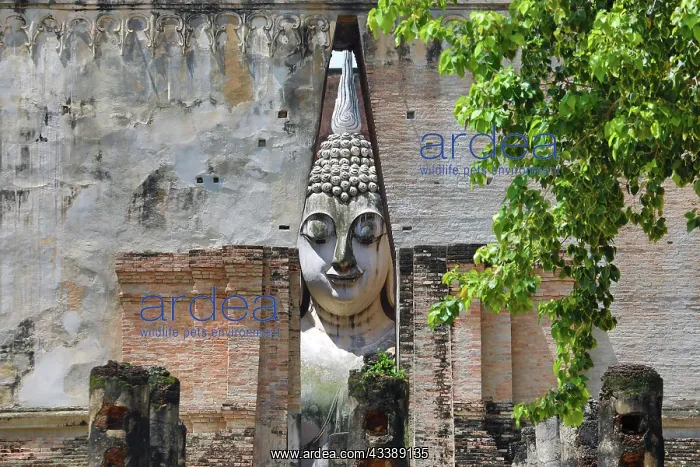 : Buddha Statue at Wat Si Chum Temple, Sukhothai, Thailand : Buddha Statue at Wat Si Chum Temple, Sukhothai, Thailand