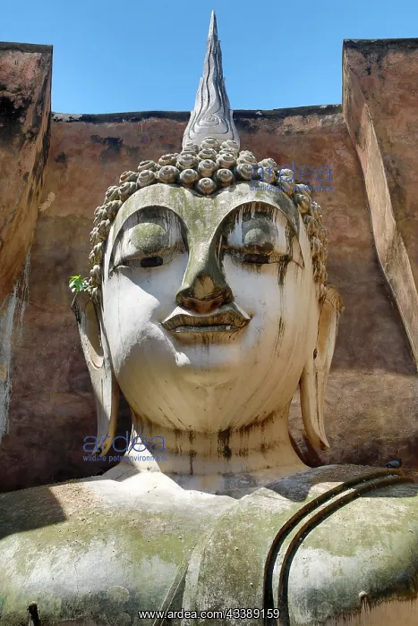 : Buddha Statue at Wat Si Chum Temple, Sukhothai, Thailand : Buddha Statue at Wat Si Chum Temple, Sukhothai, Thailand
