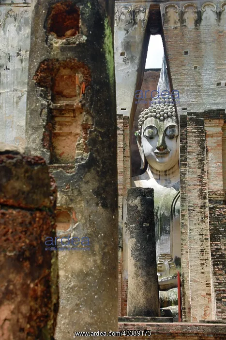 : Buddha Statue at Wat Si Chum Temple, Sukhothai, Thailand : Buddha Statue at Wat Si Chum Temple, Sukhothai, Thailand