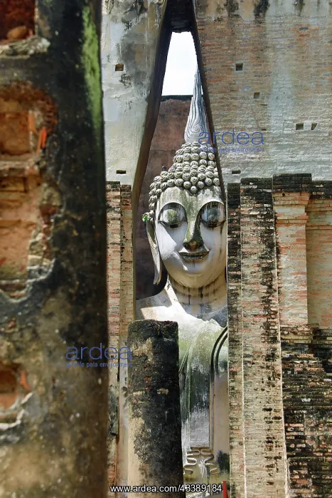 : Buddha Statue at Wat Si Chum Temple, Sukhothai, Thailand : Buddha Statue at Wat Si Chum Temple, Sukhothai, Thailand