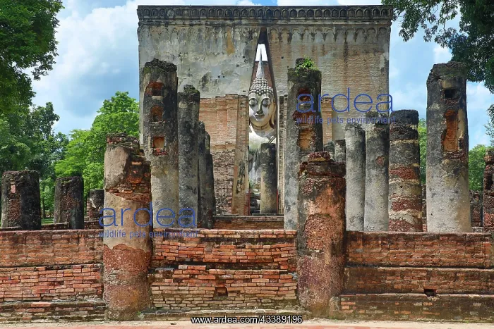 : Buddha Statue at Wat Si Chum Temple, Sukhothai, Thailand : Buddha Statue at Wat Si Chum Temple, Sukhothai, Thailand