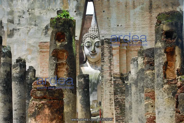 : Buddha Statue at Wat Si Chum Temple, Sukhothai, Thailand : Buddha Statue at Wat Si Chum Temple, Sukhothai, Thailand