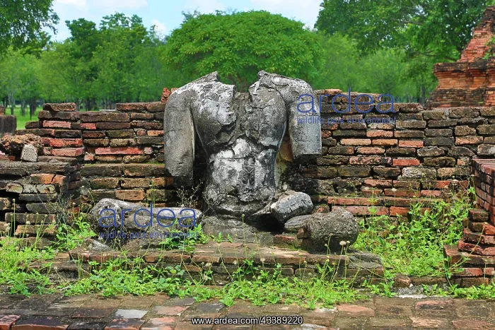 : Buddha Statue at Wat Si Chum Temple, Sukhothai, Thailand : Buddha Statue at Wat Si Chum Temple, Sukhothai, Thailand