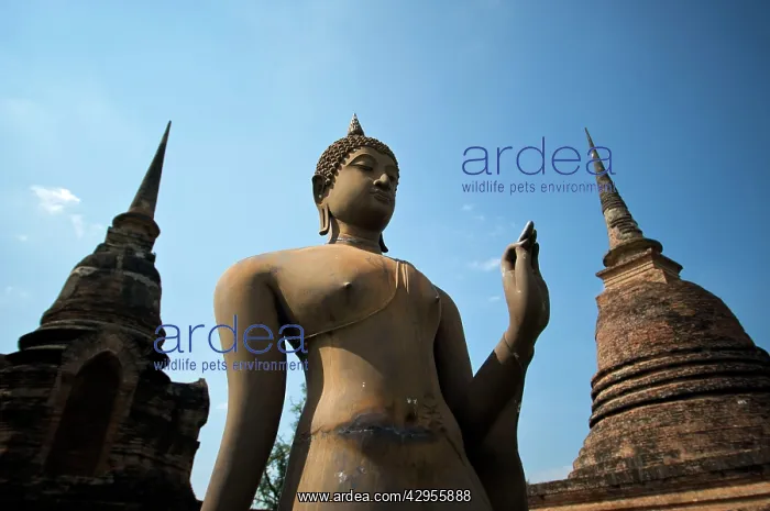  : Buddha Sukhothai Historical park Thailand