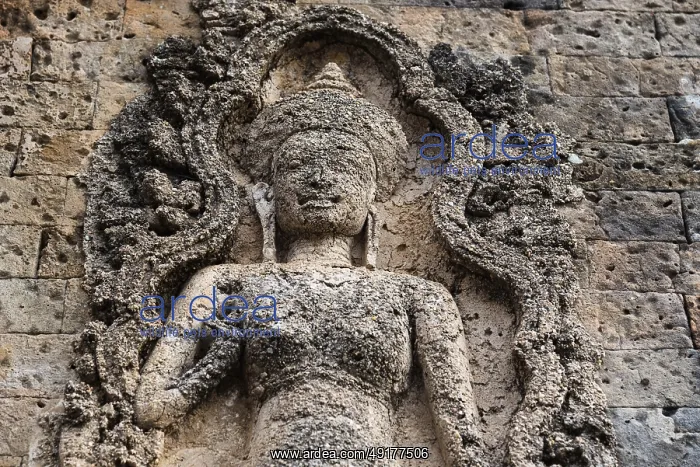 : Buddhist holy statue, jungle temple : Buddhist holy statue, jungle temple