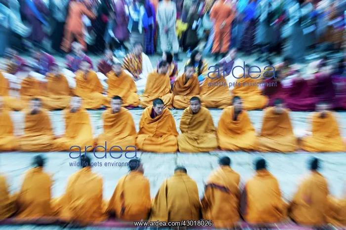  : Buddhist Monks